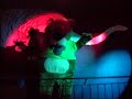 踊る犬動画
