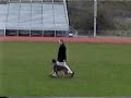 Schutzhund Obedience Heeling Schutzhund Obedience Heeling
