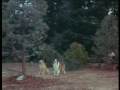 Jan Michael Vincent - Lassie Part Seven