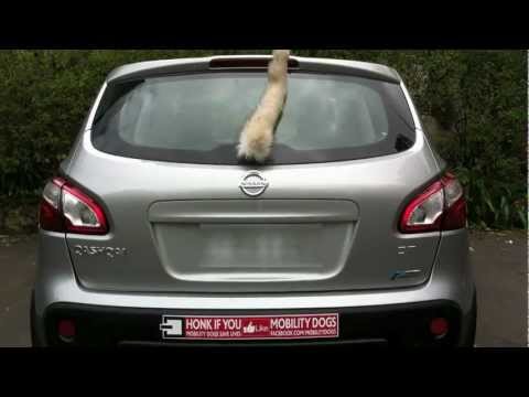 Image de prévisualisation YouTube