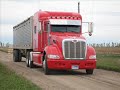 Peterbilt Crazy,Orange Sunrise Peterbilt Crazy,Orange Sunrise