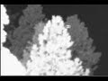 ECETI: ORBS INTERACTION  Part 1 of 2