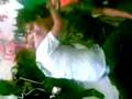 videos de EL_BAILE_PROIVIDO
