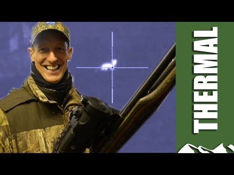 How to set up Pulsar XP50 Trail thermal night vision