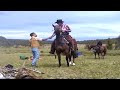 See video