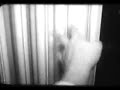 12twelve \"yotuel\" (clip)