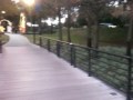 Cranes Rooset Park Altamonte Springs Florida