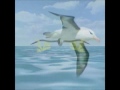 Click here to watch this video New Sea Eagle SE7 Promo.wmv