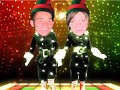 Tui elfs