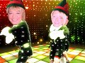 Tui elfs