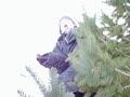 Jackass Zackattack Tree Jump Jackass Zackattack Tree Jump