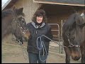 2007 Animal Hall of Fame - Animal Welfare Award