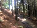 How NOT to mountain bike !