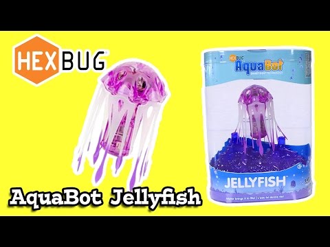 how to collect jellyfish