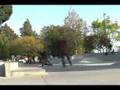 Cinco De Mayo Tennyson Montage