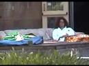 Fun With Primates 2005