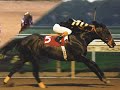 Horse racing