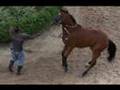 Horse racing