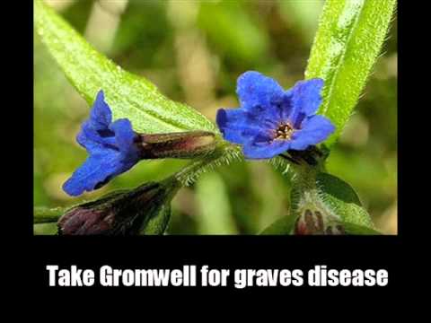 how to cure graves disease