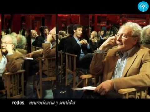 Imagen de previsualización de YouTube