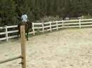 Dixie loping - 90 days training with gary keefe in CT, 30 days training in FL.  Video was shot after two months off from training. 9/9/2007  Foster, RI
