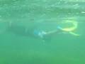 Figi Snorkeling with Sanyo Xacti CA6