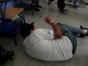 BROMAS 2006