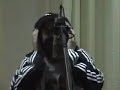 jeito moleque sem radar estudio
