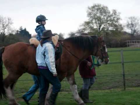 horses grand national