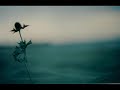 fabio concato - e a quanti amori