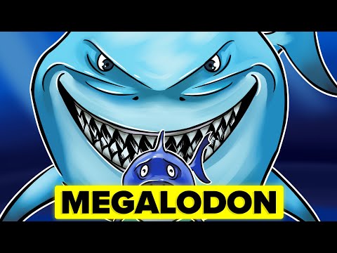 MEGALODON vs MODERN DAY SHARK – How Do They Actually Compare