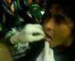 perforasion del vic