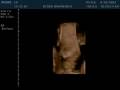 videos de 12-23-07 EA 20070929 104621 0015
