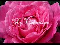 My Valentine - Martina Mcbride My Valentine - Martina Mcbride