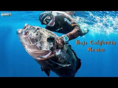 Joseba Kerejeta spearfishing pesca submarina Mar de gigantes Giant sea2 yutube