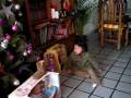 videos de reyes 08