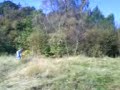 pollok honda cr 250 motocrosser