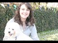 Maxie the Bichon Frise to me singing Bright Eyes