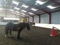 Emily jumping Otis