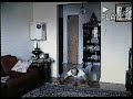 Superflo doing 30 straight body pushups (age62) Superflo doing 30 straight body pushups (age62)