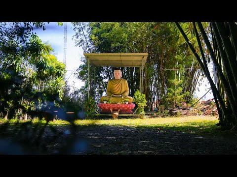 Tinh Hoa NIKAYA - XUẤT GIA THÁNH ĐIỂN - Trách Nhiệm Vị Khất Sĩ *