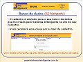 Como trabalhar na Internet atrav�s do Sistema Inteligente