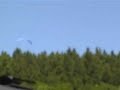 Paragleiter und Vogel