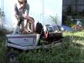 Starting up a 1985 Craftsman 11hp rear engine riding mower after 3 years