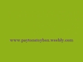 Payton's toy Box, Custom Made Agility Leads & More!
