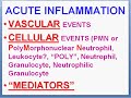 Medical School Pathology, Chapter 2a Medical School Pathology, Chapter 2a