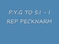 P.Y.G TO S.I - I REP PECKNARM