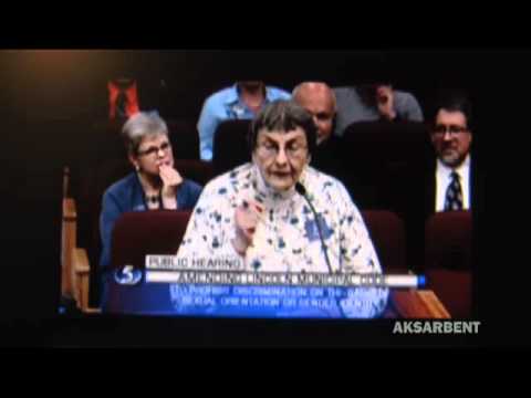 Lincoln, Nebraska LGBT hearing: the lady BEHIND hat lady has HER say too: she's wonderful Video