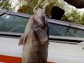 barka sto xorafi (boat)