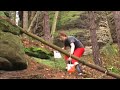 Bilder fr�n Tjeckisk skog